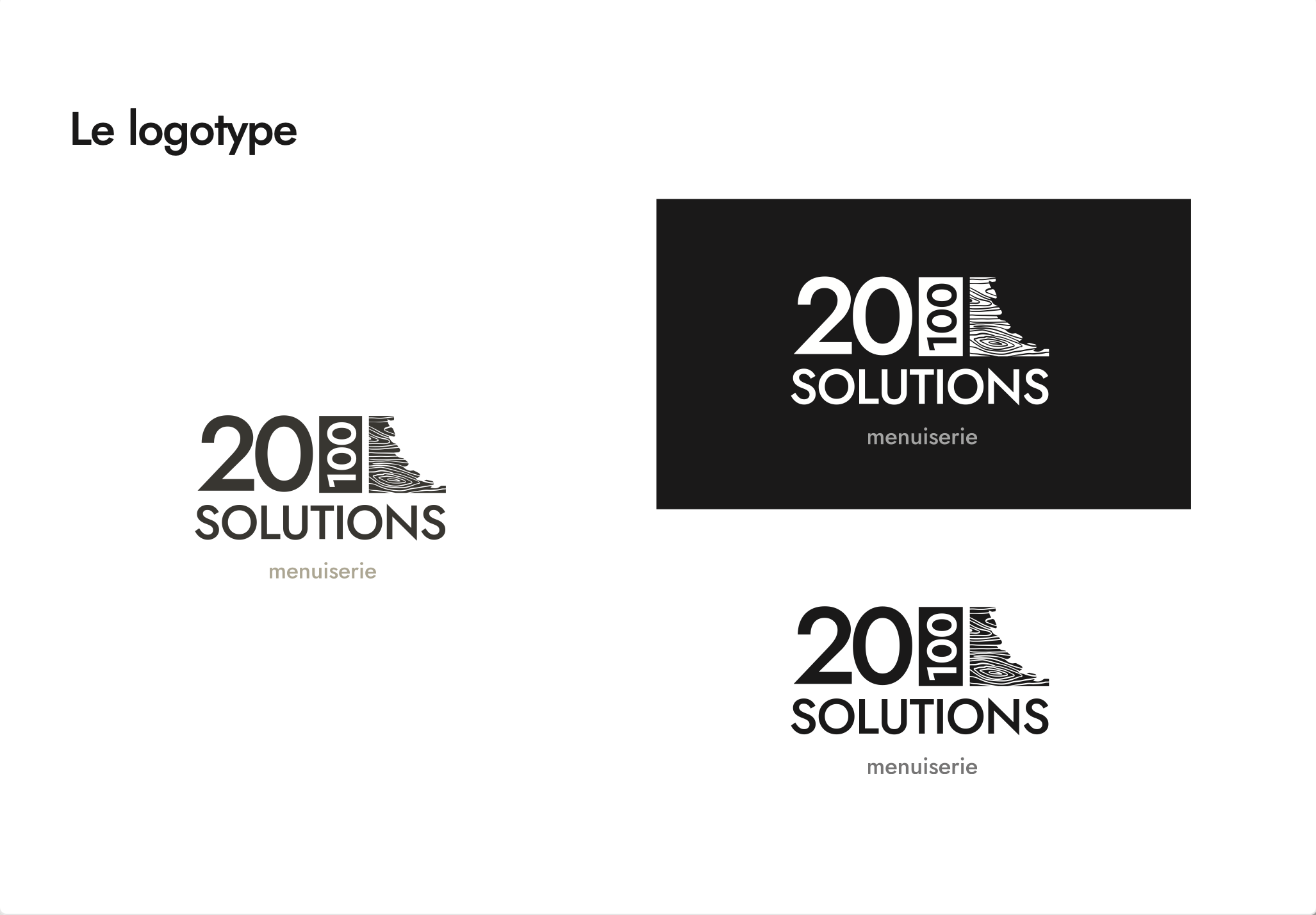 charte graphique 20100 solutions